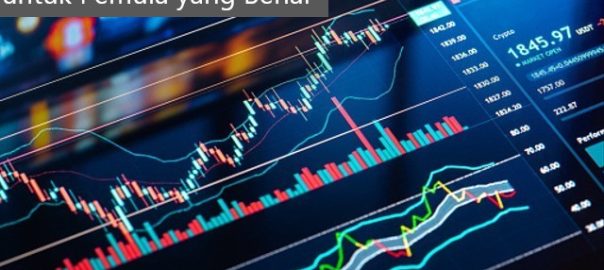 Inilah 3 Cara Bermain Saham untuk Pemula yang Benar